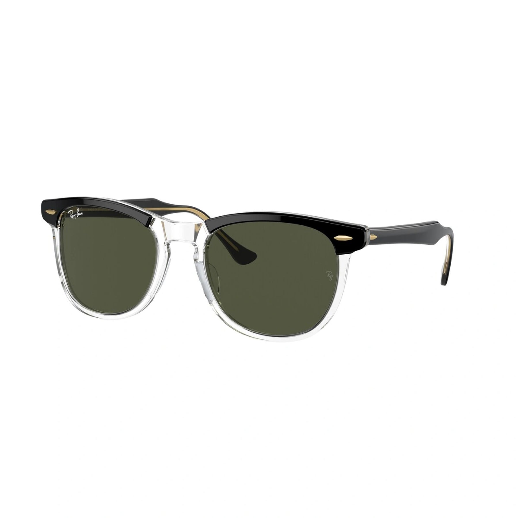 Ray-Ban Eagle Eye Solglasögon